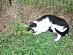View full size picture