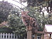 View full size picture