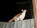 View full size picture
