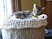 View full size picture