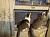 View full size picture