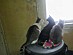 View full size picture