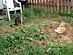 View full size picture