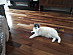 View full size picture