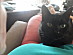 View full size picture