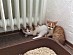 View full size picture