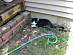 View full size picture