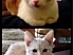 View full size picture