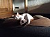View full size picture