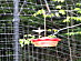 View full size picture