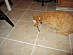 View full size picture