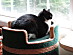 View full size picture
