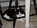 View full size picture