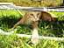 View full size picture
