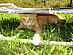 View full size picture