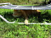 View full size picture