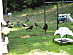 View full size picture