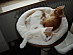 View full size picture