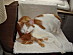 View full size picture