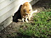 View full size picture