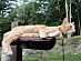 View full size picture