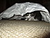 View full size picture