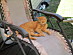 View full size picture