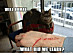 View full size picture
