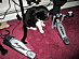 View full size picture