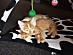 View full size picture