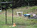 View full size picture