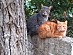 View full size picture