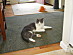 View full size picture