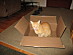 View full size picture