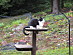 View full size picture