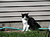 View full size picture