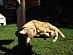 View full size picture