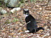 View full size picture