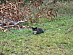 View full size picture