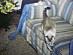 View full size picture