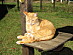 View full size picture