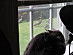 View full size picture