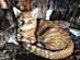 View full size picture