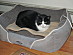 View full size picture