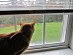 View full size picture