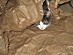View full size picture
