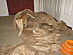 View full size picture