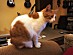 View full size picture