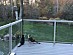 View full size picture
