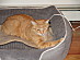 View full size picture